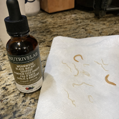 Gouttes d’Absinthe Sauvage NutriveLab™