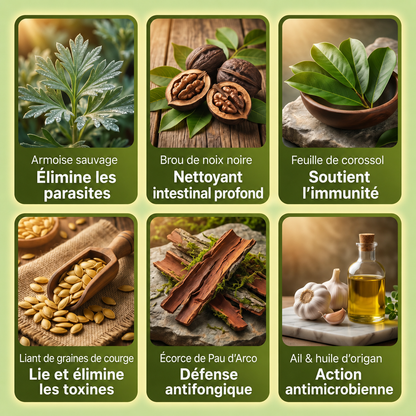 Gouttes d’Absinthe Sauvage NutriveLab™